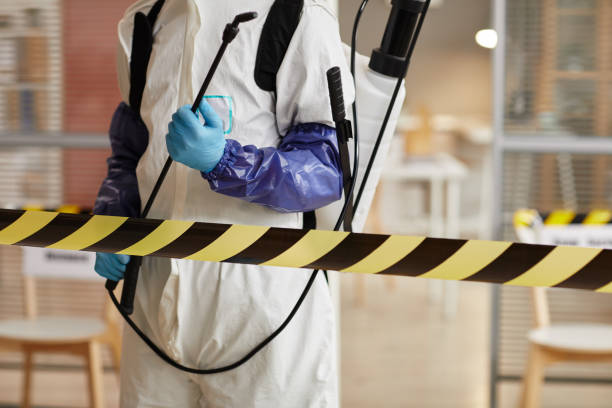 Professional Hoarding Cleanup technician working in Brunswick, NC